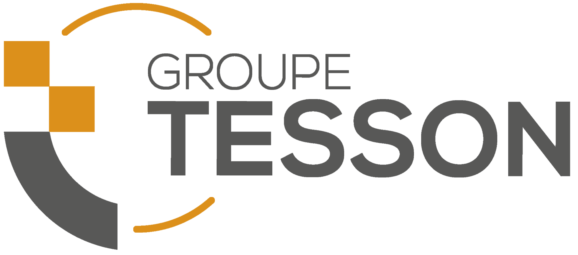 Logo Tesson